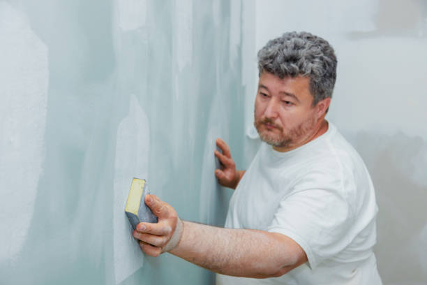 Best Drywall Sanding and Smoothing  in Cowarts, AL